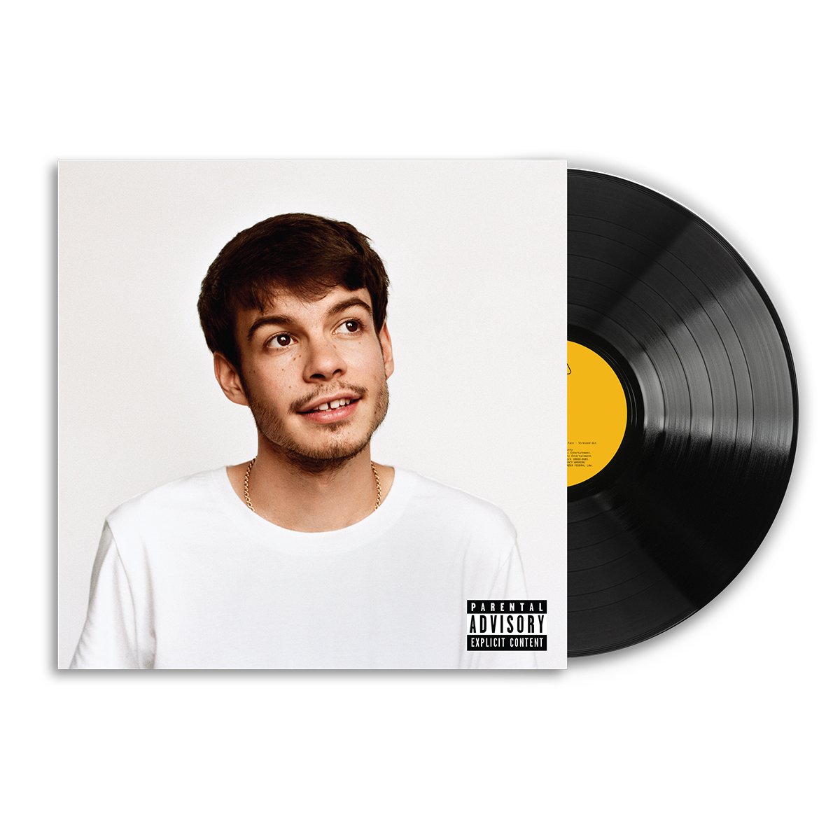 A vinyl record partially pulled from its sleeve, showing a portrait of Rex Orange County on the album cover and a visible Parental Advisory label. The record itself is black with a yellow center label.